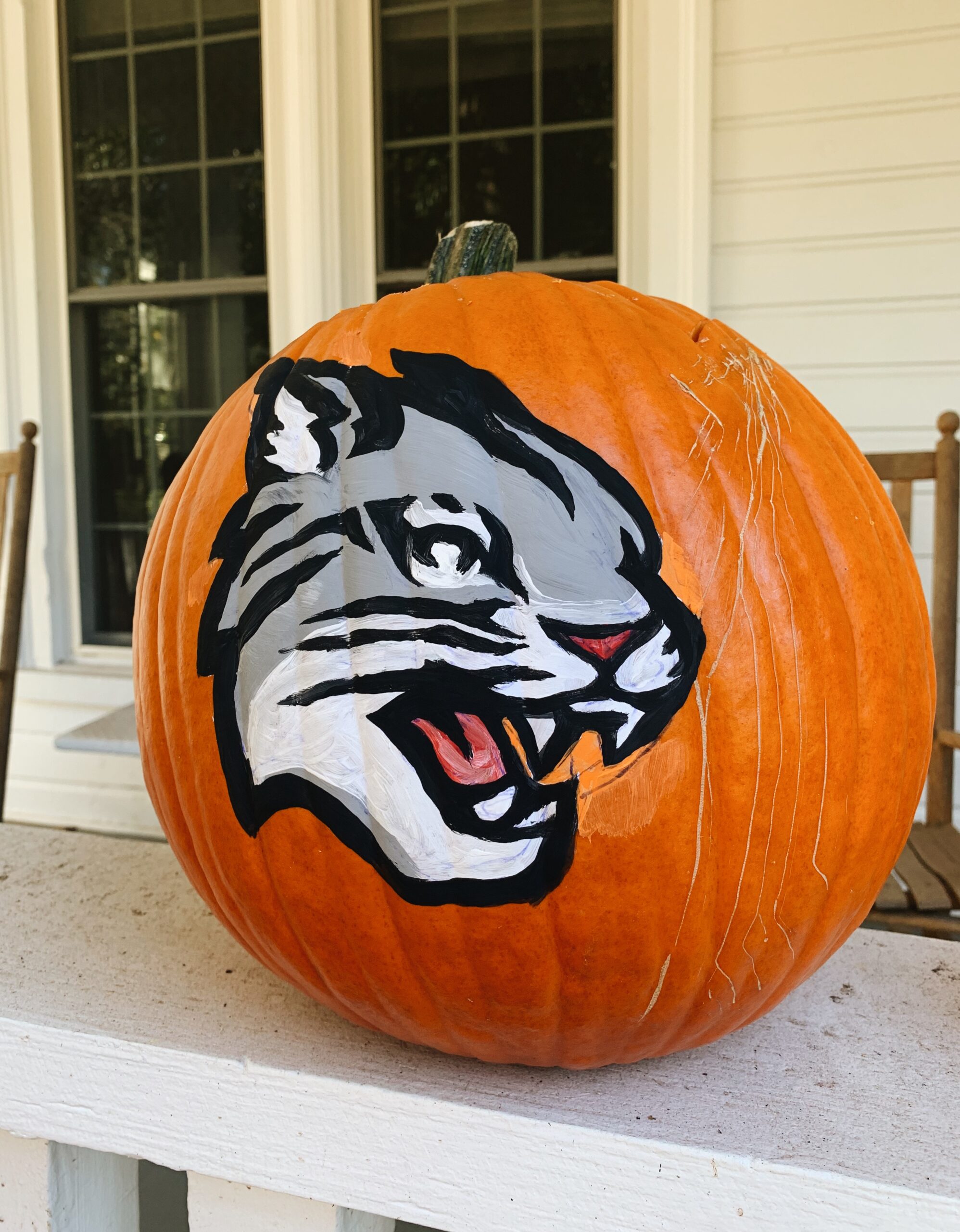 an orange pumpkin with a grey wildcat painted on it